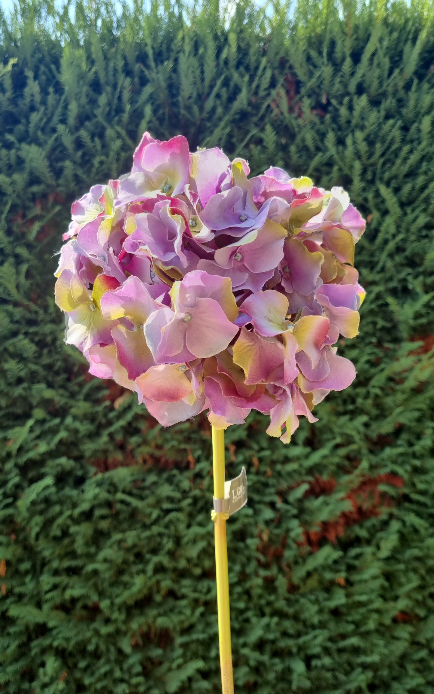 ORTENSIA in stoffa NUANCE VIOLA, LILLA E VERDE